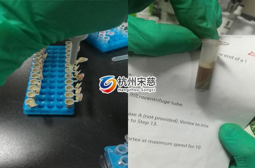 <a href=http://m.kerblayer.com/prouduct/lengdong/ target=_blank class=infotextkey>冷凍研磨儀</a>